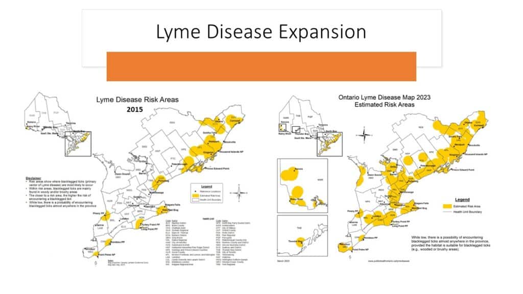 Lyme Disease Kingston